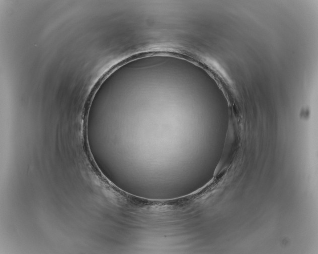 X0000091581268200709051053