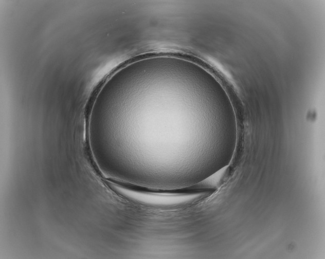 X0000091581269200709051053