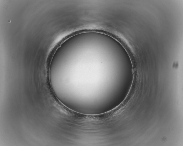 X0000091581270200709051053