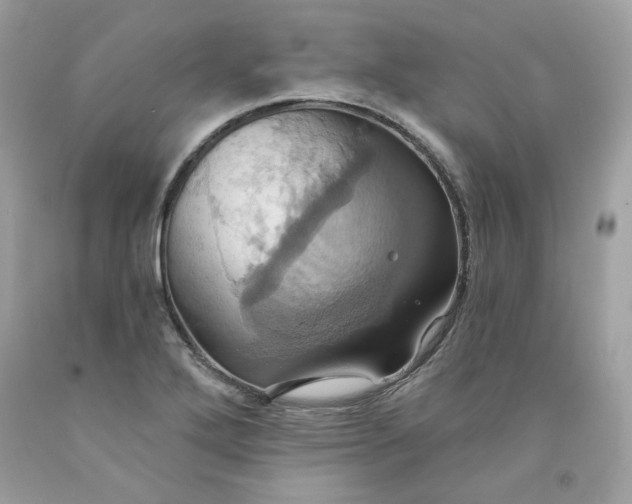 X0000091581272200709051053