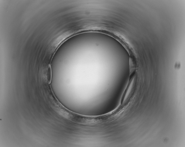 X0000091581273200709051053