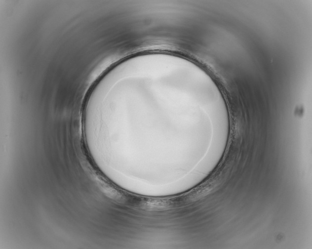 X0000091581274200709051053