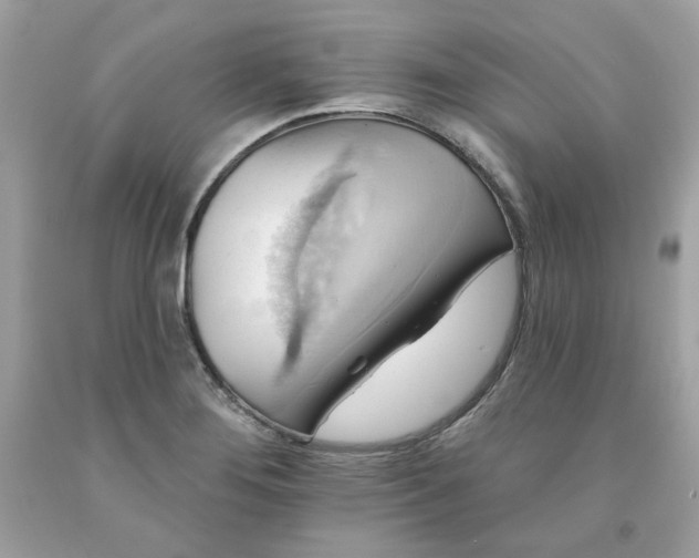 X0000091581276200709051053