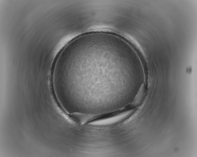 X0000091581277200709051053