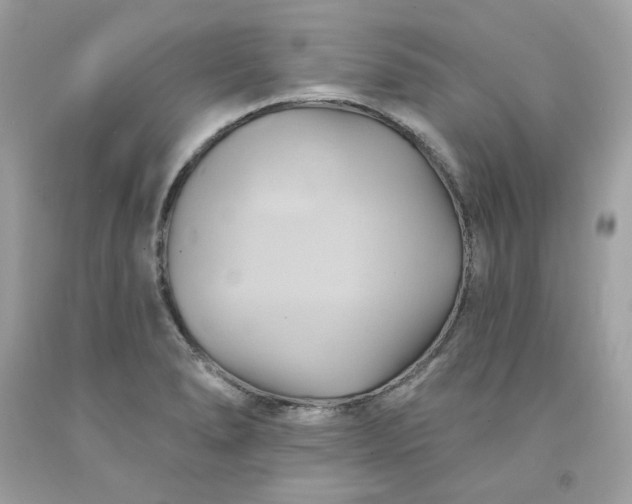 X0000091581278200709051053