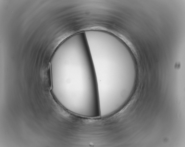 X0000091581281200709051053