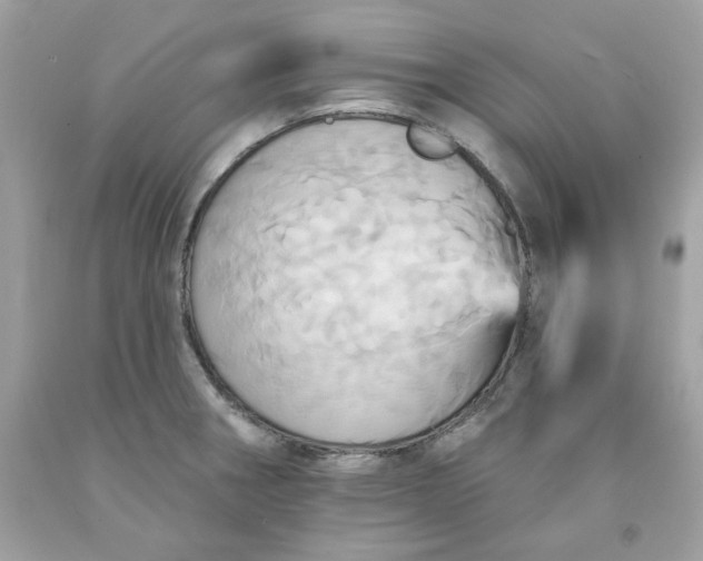 X0000091581282200709051053
