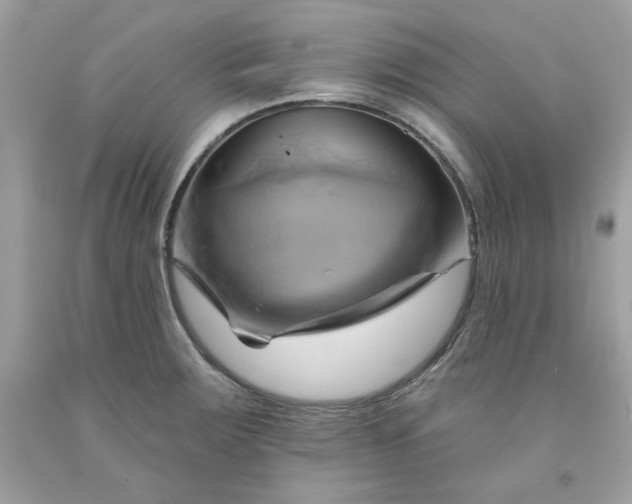 X0000091581283200709051053