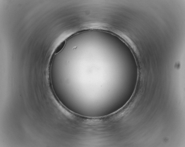 X0000091581285200709051053