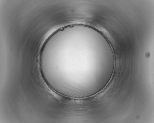 X0000091581286200709051052