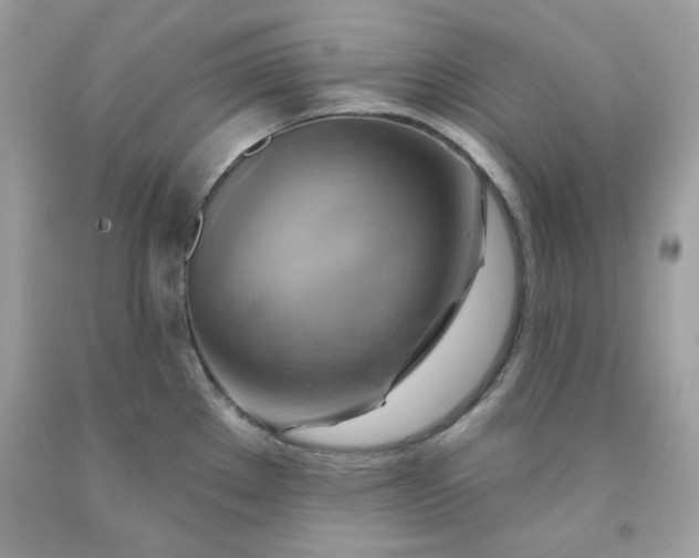 X0000091581289200709051052