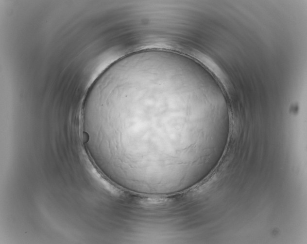 X0000091581290200709051052