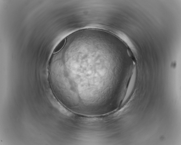 X0000091581292200709051052