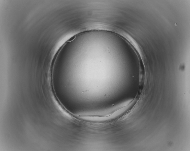 X0000091581293200709051052