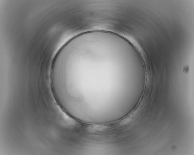 X0000091581294200709051052