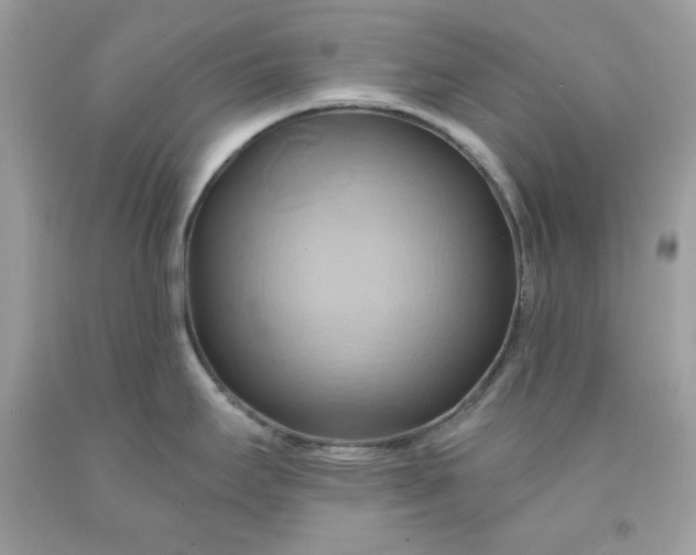 X0000091581295200709051052