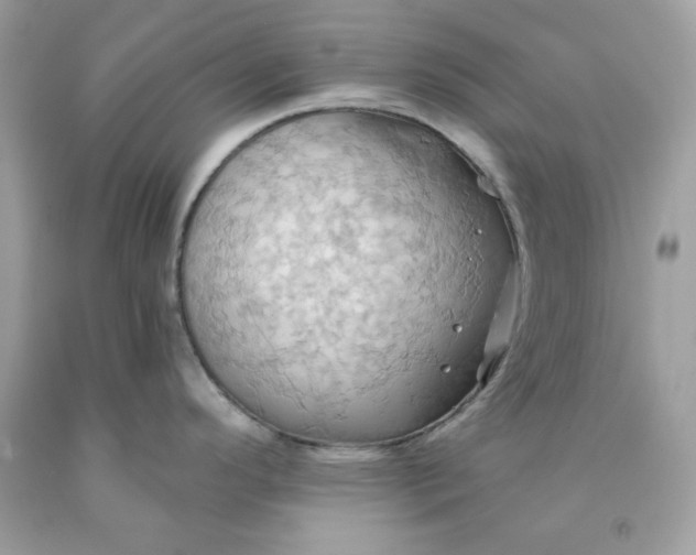 X0000091581296200709051052