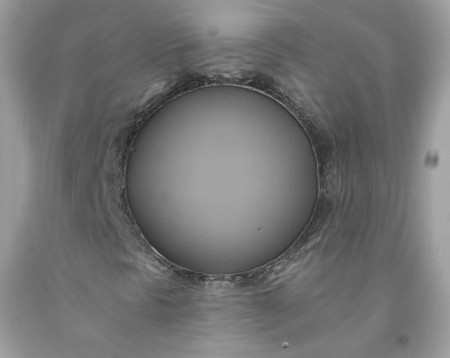 X0000091581297200709051052