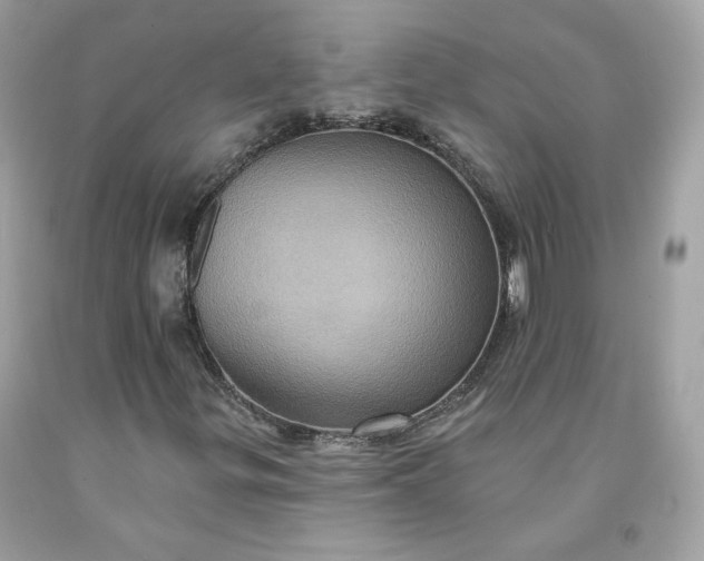 X0000091581299200709051052