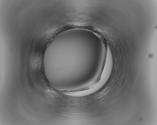 X0000091581300200709051052
