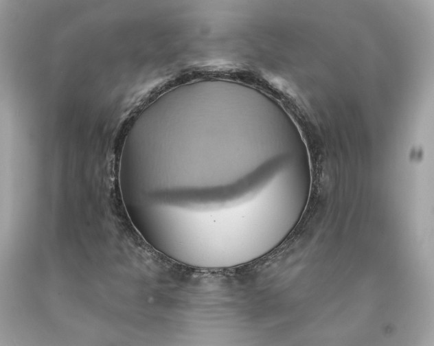 X0000091581301200709051052