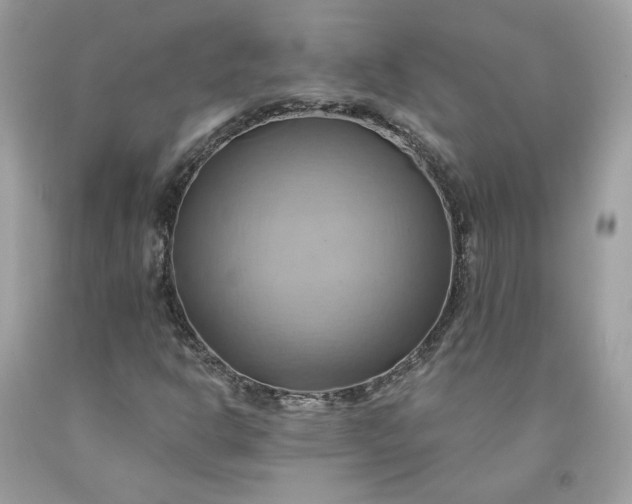 X0000091581302200709051052
