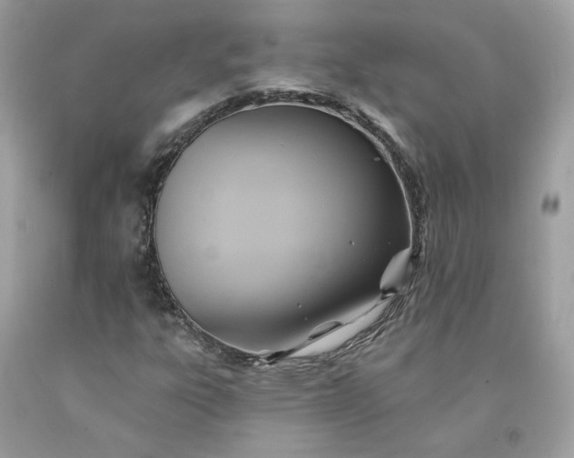 X0000091581303200709051052