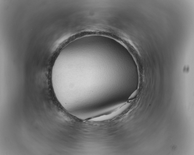 X0000091581304200709051052