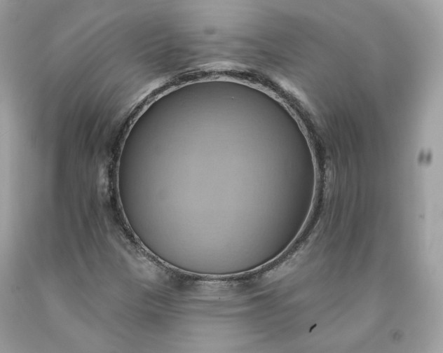 X0000091581305200709051052