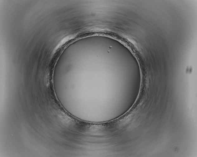 X0000091581306200709051052