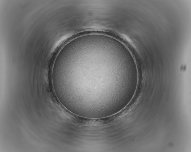X0000091581307200709051052