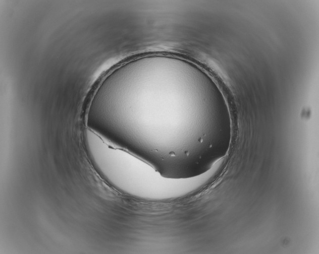 X0000091581308200709051052