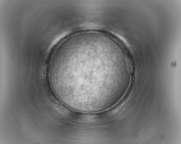 X0000091581309200709051052