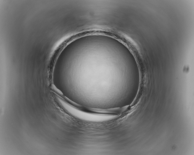 X0000091581310200709051052