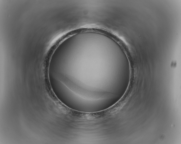 X0000091581311200709051052