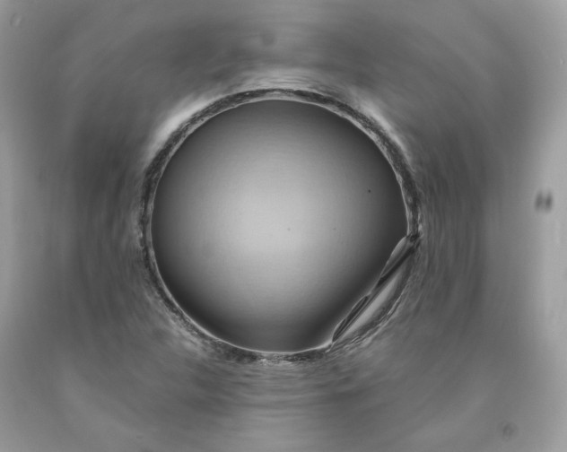 X0000091581312200709051052