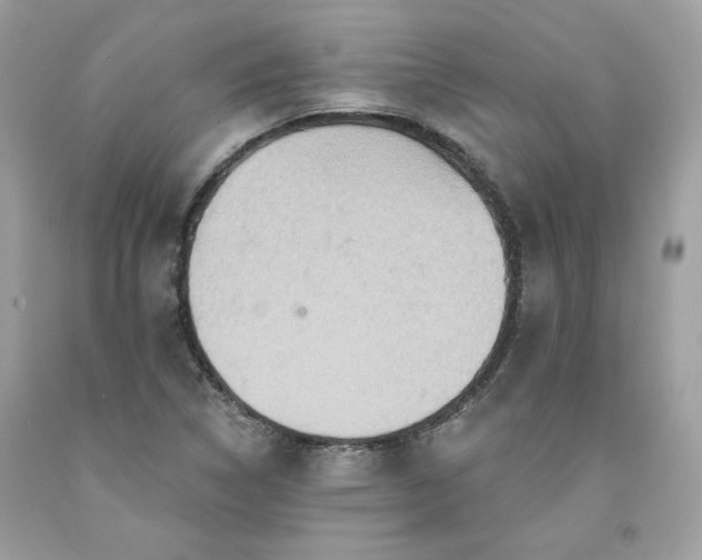 X0000091581314200709051052