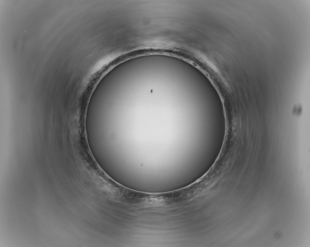 X0000091581315200709051052