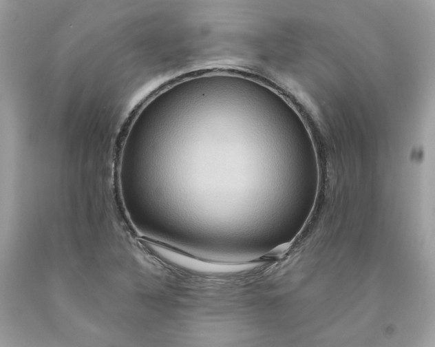 X0000091581316200709051052