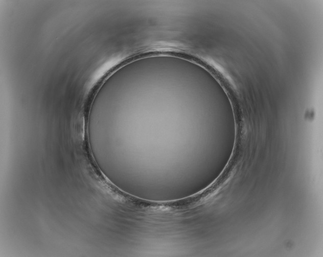 X0000091581317200709051052