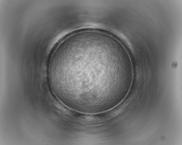 X0000091581318200709051052