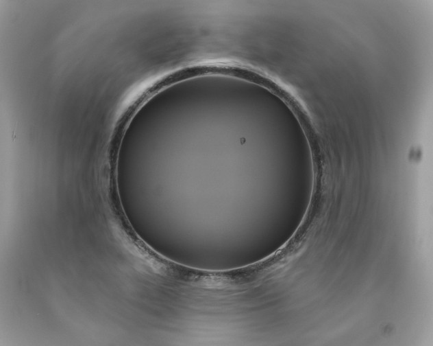 X0000091581319200709051052