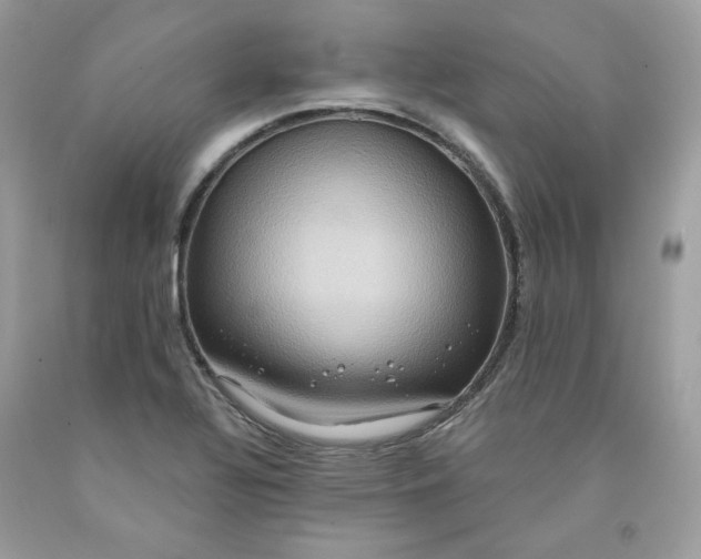 X0000091581320200709051052
