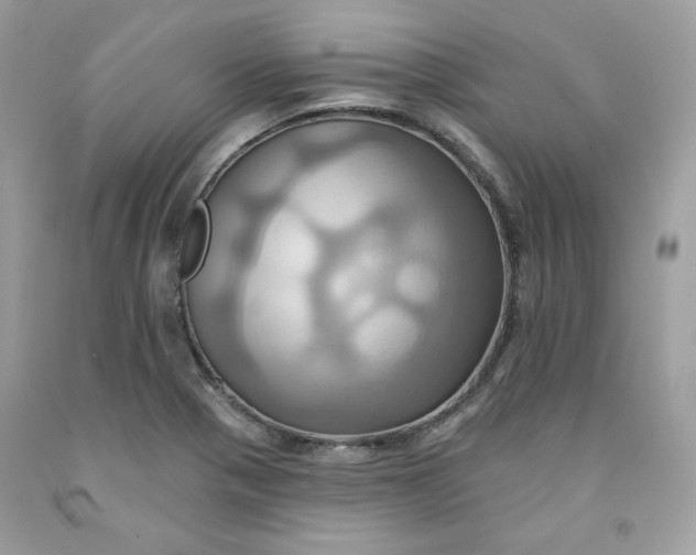 X0000091581321200709051052