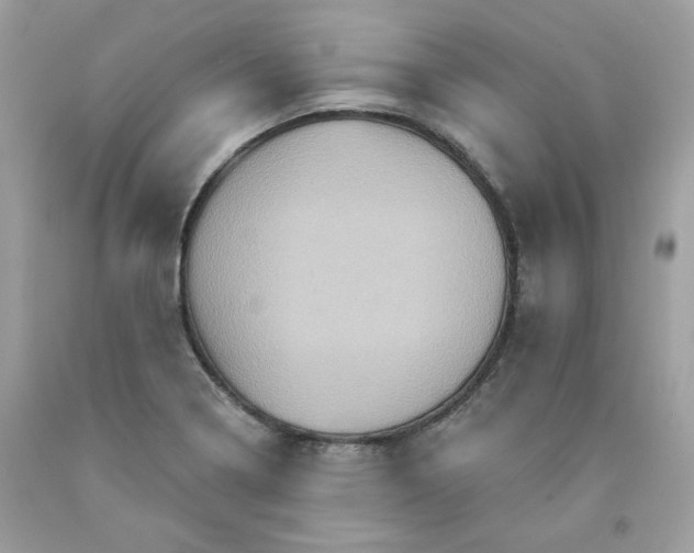 X0000091581322200709051052