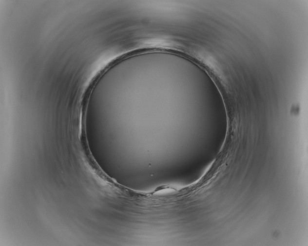 X0000091581323200709051052