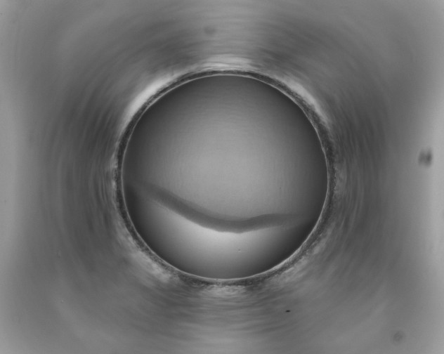 X0000091581325200709051052