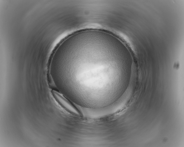 X0000091581326200709051052