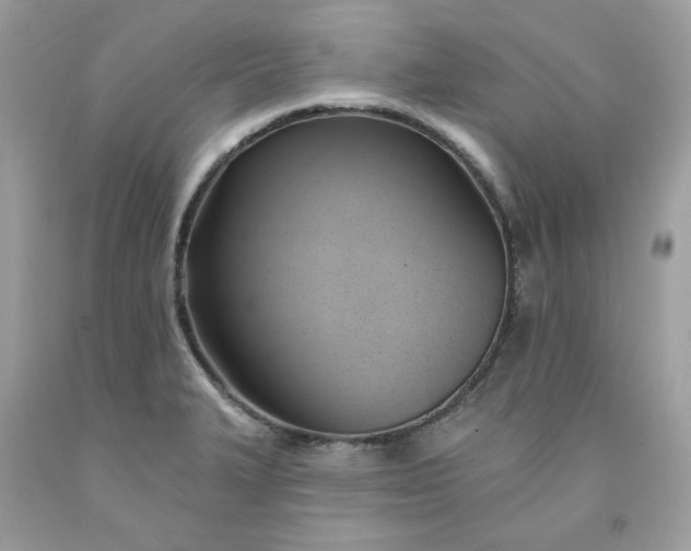 X0000091581327200709051052