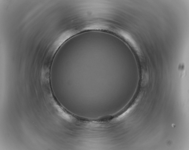 X0000091581329200709051052